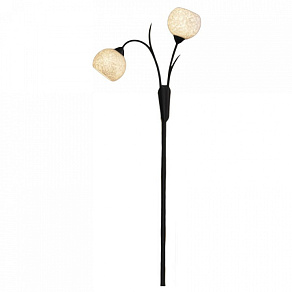 Торшер Lussole Bagheria LSF-6295-02