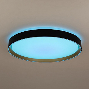 Накладной светильник Citilux BOSS CL751451G