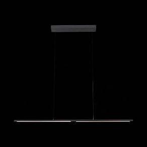 Подвесной светильник ST-Luce Ralio SL1580.403.01