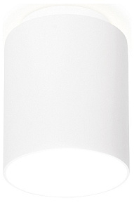 Накладной светильник Ambrella TN TN260