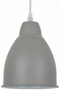 Подвесной светильник Arte Lamp Braccio A2054SP-1GY