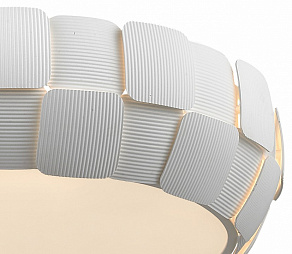 Накладной светильник Divinare Beata 1317/01 PL-6