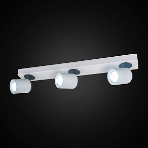 Спот Citilux Норман 2 CL533530