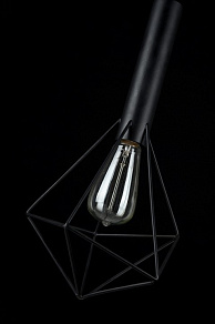 Подвесной светильник Maytoni Spider T021-01-B
