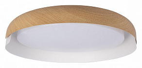 Накладной светильник Loft it Coin 10198 White