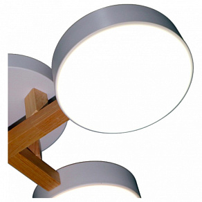Накладной светильник Natali Kovaltseva 2132 LED LAMPS 81329