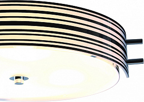 Накладной светильник ST-Luce Heggia SL484.542.04