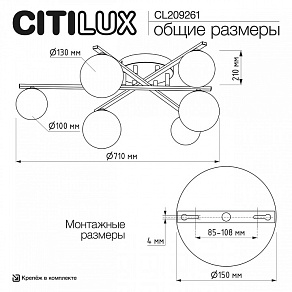 Потолочная люстра Citilux Glob CL209261
