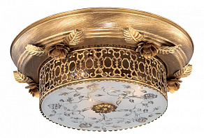 Накладной светильник Odeon Light Capua 2642/3C
