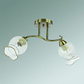 Светильник на штанге Lumion Rozetta 3109/2C