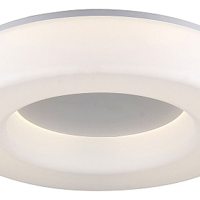 Накладной светильник ST-Luce Lordin SL886.512.01