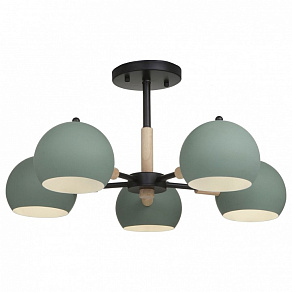 Люстра на штанге Freya Trisha FR5032CL-05B