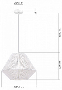 Подвесной светильник EVOLUCE ETTAN SLE6025-503-01