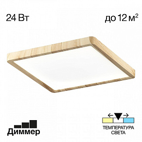 Накладной светильник Citilux Бейсик CL738K242V