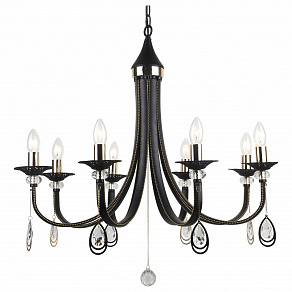 Подвесная люстра Arte Lamp Dallas A8540LM-8BK