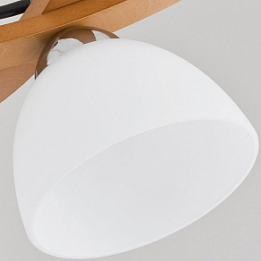 Люстра на штанге Alfa Jona 22993