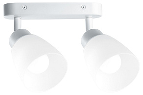 Спот Feron Barre 41513