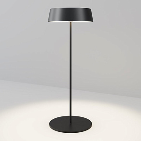 Наземный низкий светильник Maytoni Outdoor Porto O540TL-L2BCCT