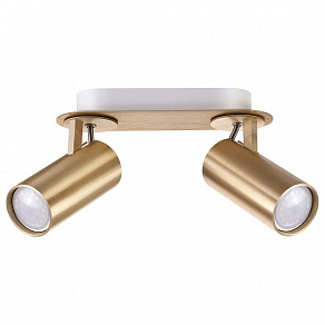 Спот Odeon Light Corse 3876/2C