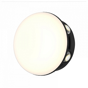 Накладной светильник Favourite Option 4853-1W