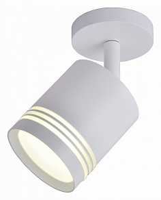 Спот Favourite Darar 3065-1U