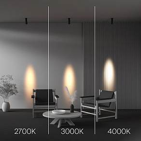 Светильник на штанге Maytoni Technical FOCUS LED C055CL-L12W3K-SS-B