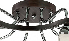 Потолочная люстра Odeon Light Iwo 2237/8С