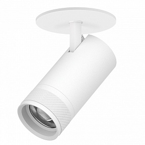 Спот Lightstar Canno Pro C4306RS