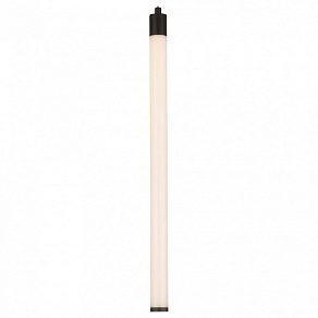 Подвесной светильник Maytoni Ray P021PL-L10B