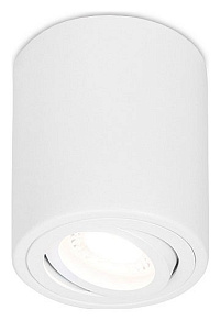 Спот Ambrella TN TN225