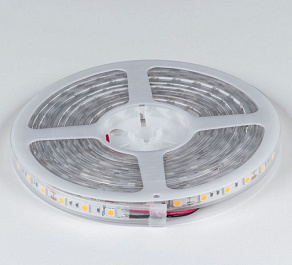 Лента светодиодная DesignLed DSG560 00-00000519