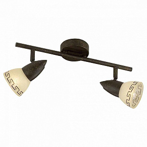 Спот Odeon Light Medeo 2075/2W