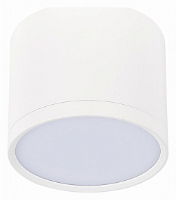 Накладной светильник ST-Luce Rene ST113.542.09