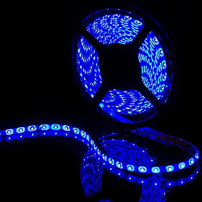 Лента светодиодная SWG SWG360 SWG360-12-4.8-B-65-M