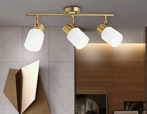 Спот Ambrella TR TR3972