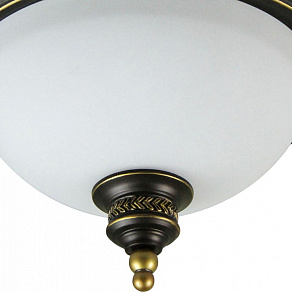 Накладной светильник Arte Lamp Bonito A9518PL-2BA