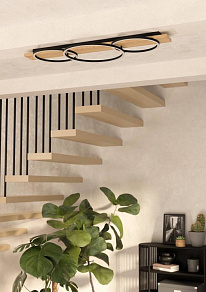 Накладной светильник Eglo BOYAL 901717