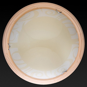 Накладной светильник TopLight Ginger TL9620Y-00PN