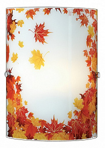 Накладной светильник Sonex Autunno 1254