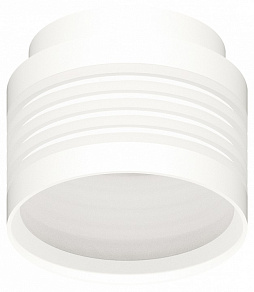 Накладной светильник Ambrella Light C C8431
