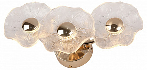 Накладной светильник Rivoli Shannon Б0061948