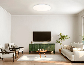 Накладной светильник Ambrella Light FZ FZ2003