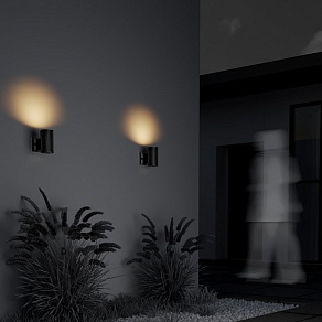 Светильник на штанге Maytoni Rando O419WL-01B