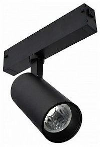 Светильник на штанге ST-Luce SKYLINE 220 ST660.446.10H