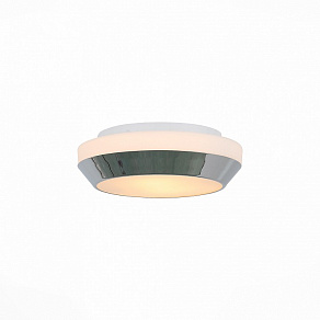 Накладной светильник ST-Luce Bagno SL469.502.02
