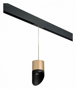 Подвесной светильник Lightstar Rullo PRORP349087