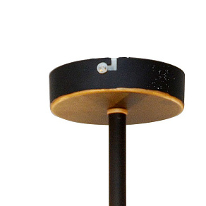 Потолочная люстра TopLight Roxana TL1194X-08BK