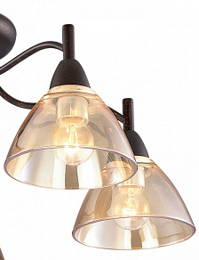 Потолочная люстра Odeon Light Treves 2625/5C