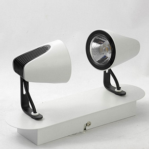 Спот Lussole Merano LSN-4101-02