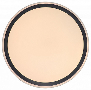 Накладной светильник Zortes BELLA ZRS.1201.11